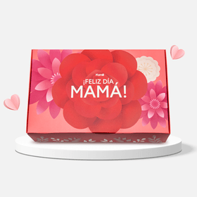 CAJA MAMA KAMILL.png